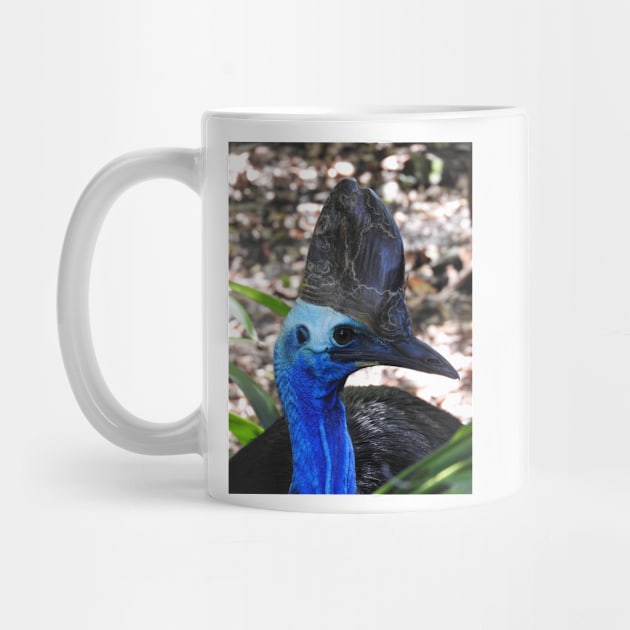 Cassowary by kirstybush